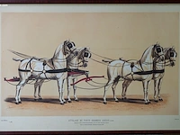 Drie antieke franse kleurenlithografieën van...