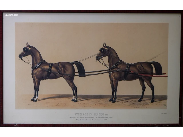 Drie antieke franse kleurenlithografieën van... - afbeelding 2 van  3