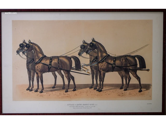 Drie antieke franse kleurenlithografieën van... - afbeelding 3 van  3