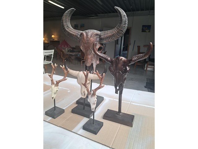 Drie maal buffel op voet + 2 gewei (grootste buffel is 560 mm op 350 mm) - afbeelding 2 van  10