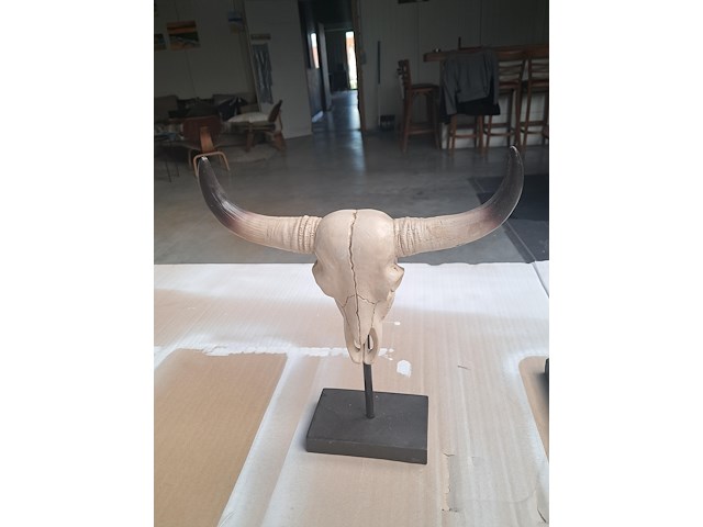 Drie maal buffel op voet + 2 gewei (grootste buffel is 560 mm op 350 mm) - afbeelding 5 van  10