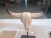 Drie maal buffel op voet + 2 gewei (grootste buffel is 560 mm op 350 mm) - afbeelding 5 van  10