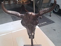 Drie maal buffel op voet + 2 gewei (grootste buffel is 560 mm op 350 mm) - afbeelding 6 van  10