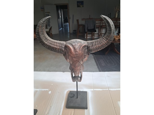Drie maal buffel op voet + 2 gewei (grootste buffel is 560 mm op 350 mm) - afbeelding 7 van  10