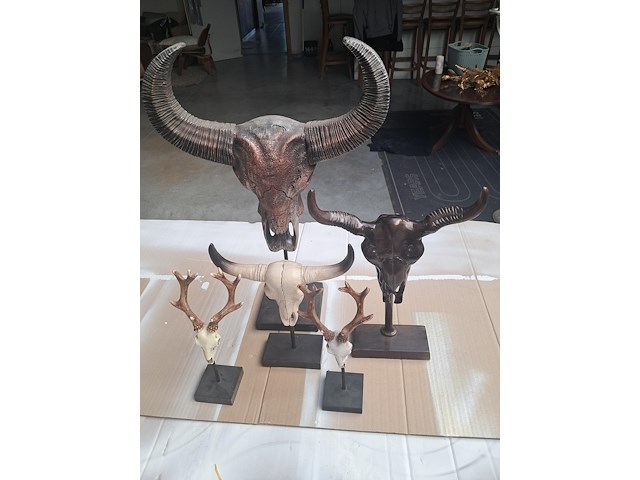 Drie maal buffel op voet + 2 gewei (grootste buffel is 560 mm op 350 mm) - afbeelding 8 van  10
