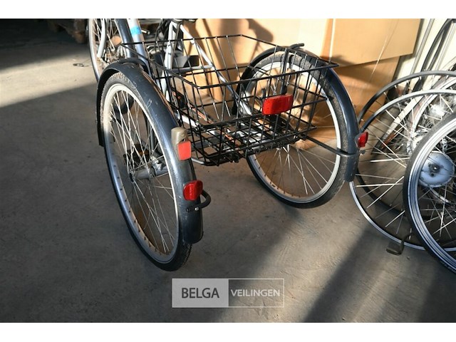 Driewieler eco-trike - afbeelding 2 van  4