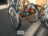 Driewieler eco-trike - afbeelding 2 van  4