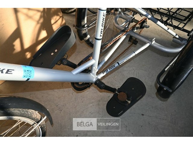 Driewieler eco-trike - afbeelding 3 van  4