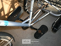 Driewieler eco-trike - afbeelding 3 van  4