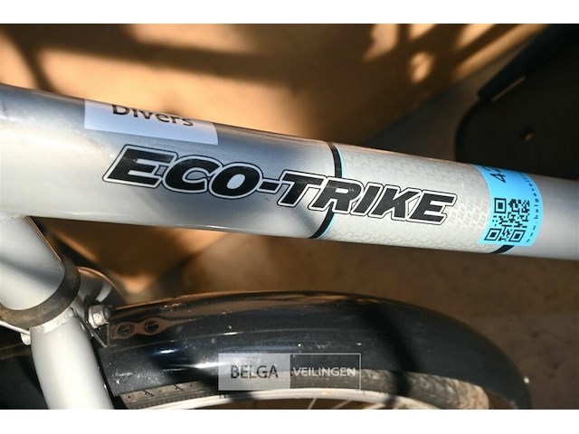 Driewieler eco-trike - afbeelding 4 van  4