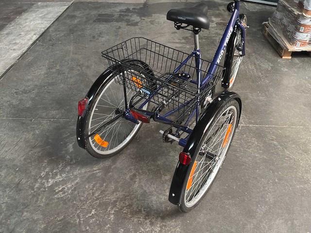 Driewielfiets - afbeelding 6 van  9