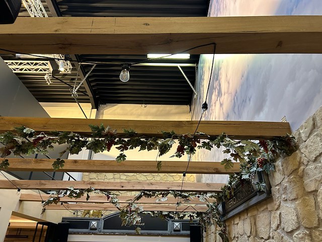 Druivelaar en lichtjes - afbeelding 1 van  5