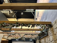 Druivelaar en lichtjes