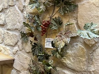 Druivelaar en lichtjes - afbeelding 3 van  5