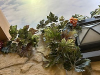 Druivelaar en lichtjes - afbeelding 4 van  5