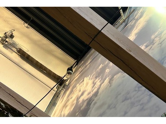 Druivelaar en lichtjes - afbeelding 5 van  5