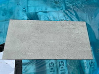 Dualgres wandtegel (437x) - afbeelding 1 van  3