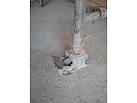 Duarib rollstar 254 mobiele steiger - afbeelding 4 van  6