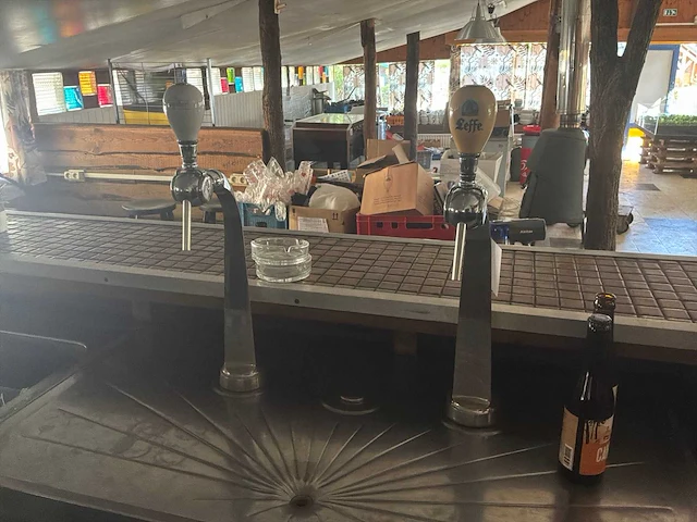 Dubbele bierpomp met spoelbak - afbeelding 2 van  6