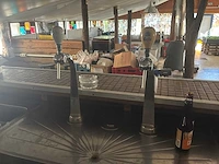Dubbele bierpomp met spoelbak - afbeelding 2 van  6