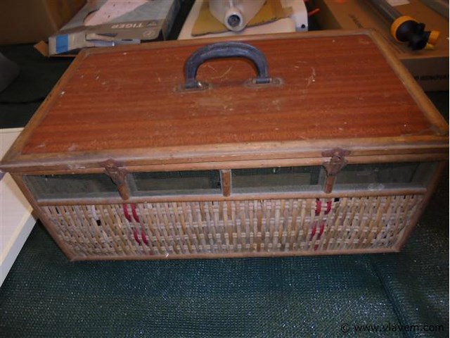 Duiven - afbeelding 1 van  2