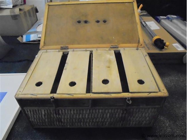 Duiven - afbeelding 2 van  2