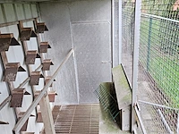 Duivenhok - afbeelding 4 van  5