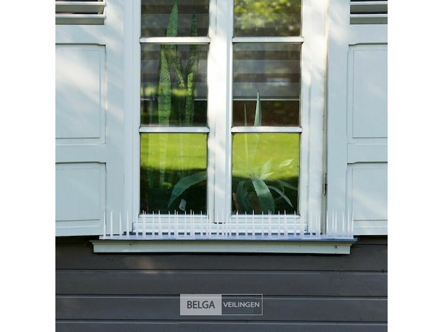 Duivenpinnen - afbeelding 3 van  5