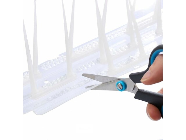 Duivenpinnen - afbeelding 5 van  5