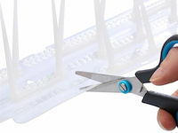 Duivenpinnen - afbeelding 5 van  5