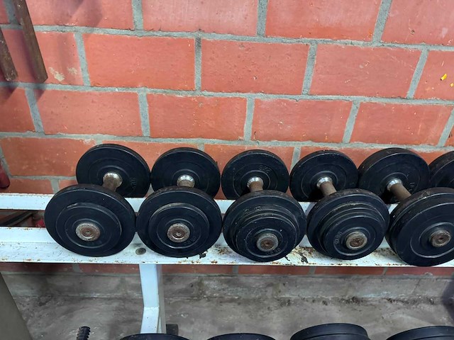 Dumbellset + rek 2,5 - 20kg - afbeelding 5 van  12