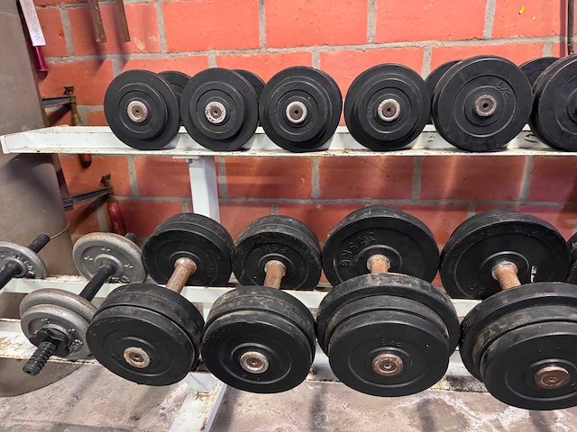 Dumbellset + rek 2,5 - 20kg - afbeelding 12 van  12