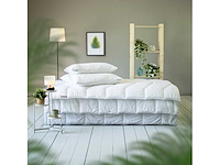Dunlopillo home pillow 80x80 cm | nachtkussen voor alle slaaphoudingen - afbeelding 5 van  6