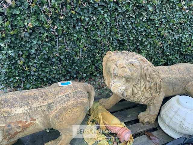 Duo van twee leeuwen in limestone. - afbeelding 3 van  4