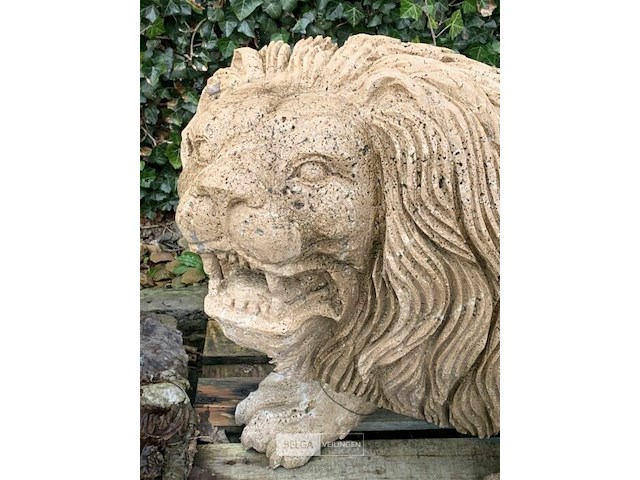 Duo van twee leeuwen in steen - afbeelding 3 van  4