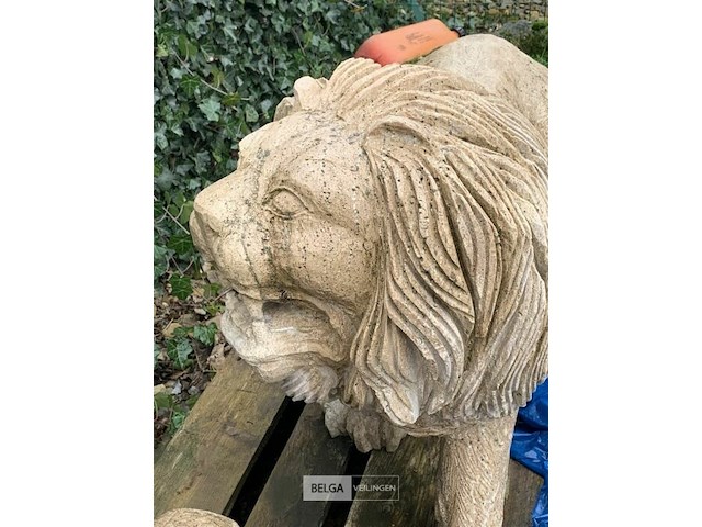 Duo van twee leeuwen in steen - afbeelding 4 van  4