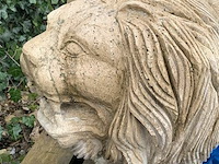 Duo van twee leeuwen in steen - afbeelding 4 van  4