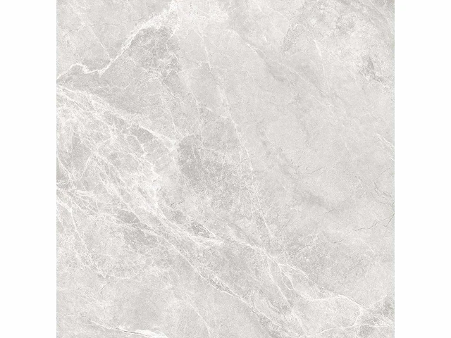 Duraker las palmas grijs mat vloertegel 100x100 cm 132 m² - afbeelding 2 van  3
