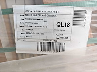 Duraker las palmas grijs mat vloertegel 100x100 cm 132 m² - afbeelding 3 van  3