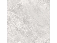 Duraker las palmas grijs mat vloertegel 100x100 cm 132 m² - afbeelding 2 van  3
