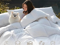 Dwr donsdekbed (200 x 200 cm) - afbeelding 2 van  3