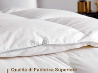 Dwr donsdekbed (200 x 200 cm) - afbeelding 3 van  3