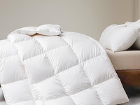 Dwr donzen dekbed (155 x 220 cm) - afbeelding 1 van  5