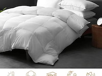 Dwr donzen dekbed (200 x 200 cm) - afbeelding 1 van  5