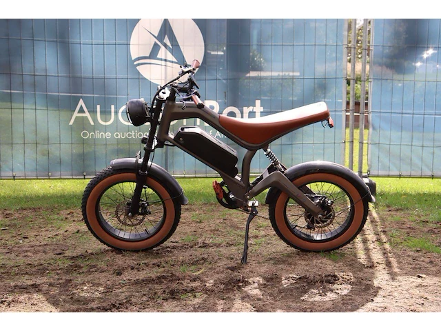 E-bike dyu m20 elektrisch - afbeelding 1 van  1