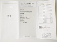 Earrings 0.96ct - afbeelding 7 van  7