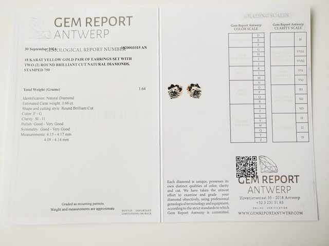 Earrings diamond - afbeelding 5 van  5