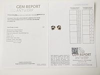 Earrings diamond - afbeelding 5 van  5