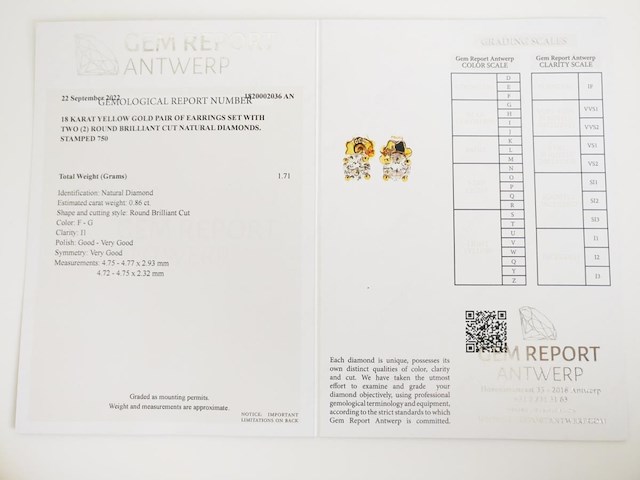 Earrings diamond - afbeelding 8 van  8