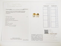 Earrings diamond - afbeelding 8 van  8